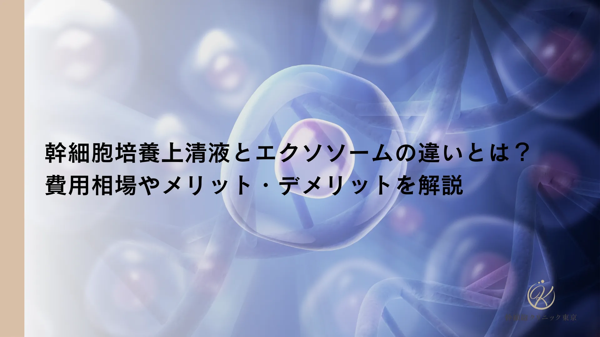 幹細胞培養上清液とエクソソームの違いとは？費用相場やメリット・デメリットを解説