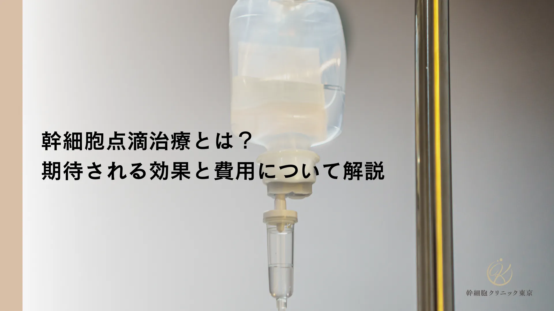 幹細胞点滴治療とは？期待される効果と費用について解説