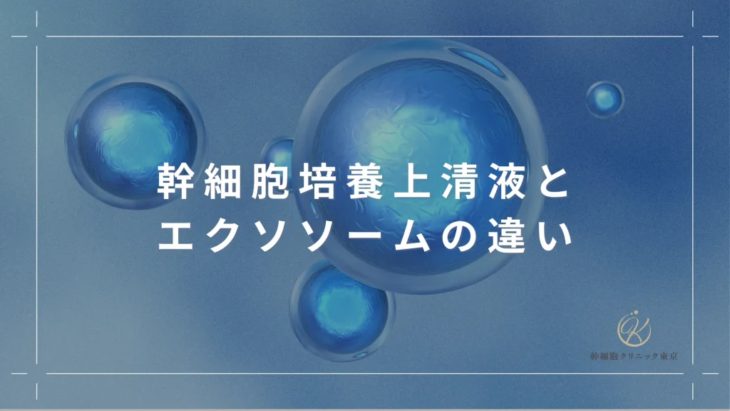 幹細胞培養上清液とエクソソームの違い