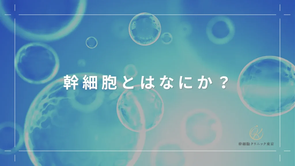 幹細胞とはなにか？