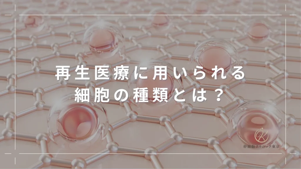 再生医療に用いられる細胞の種類とは？