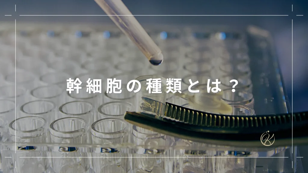 幹細胞の種類とは？