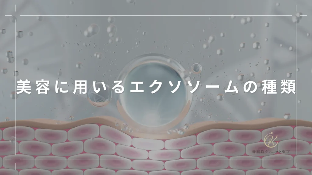 美容に用いるエクソソームの種類