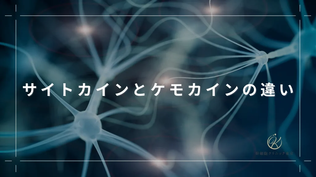 サイトカインとケモカインの違い