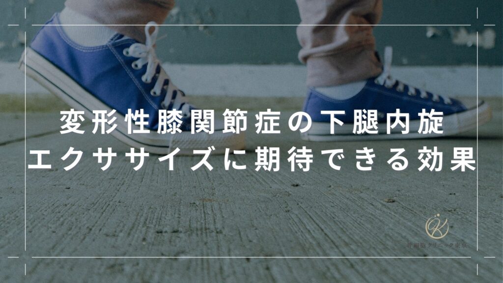 変形性膝関節症の下腿内旋エクササイズに期待できる効果