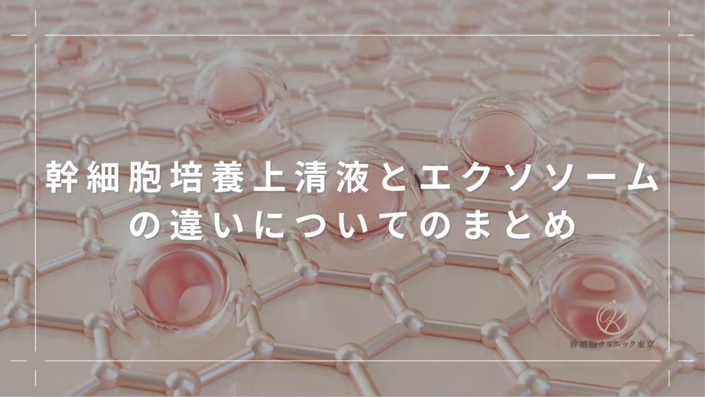 幹細胞培養上清液とエクソソームの違いについてのまとめ