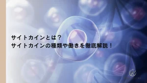サイトカインとは？サイトカインの種類や働きを徹底解説！