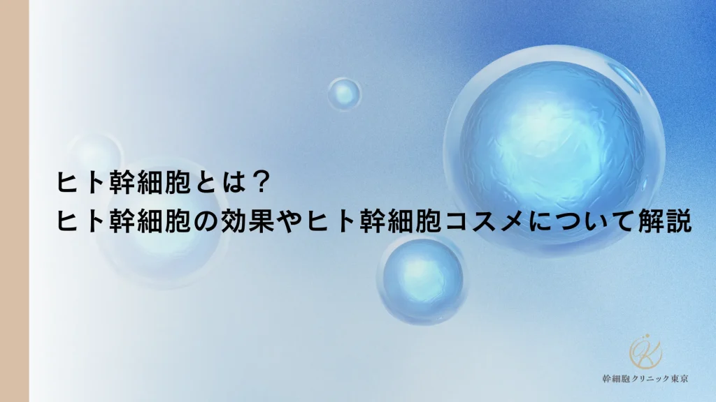 ヒト幹細胞とは？ヒト幹細胞の効果やヒト幹細胞コスメについて解説