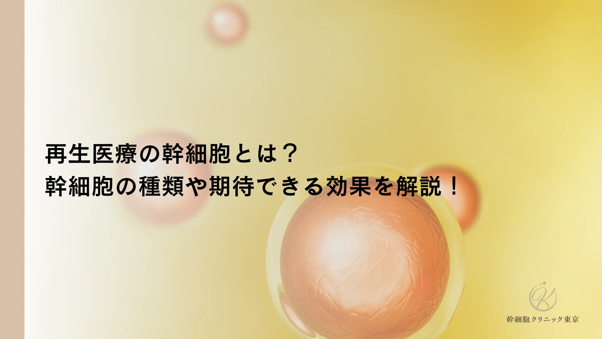 再生医療の幹細胞とは？幹細胞の種類や期待できる効果を解説！