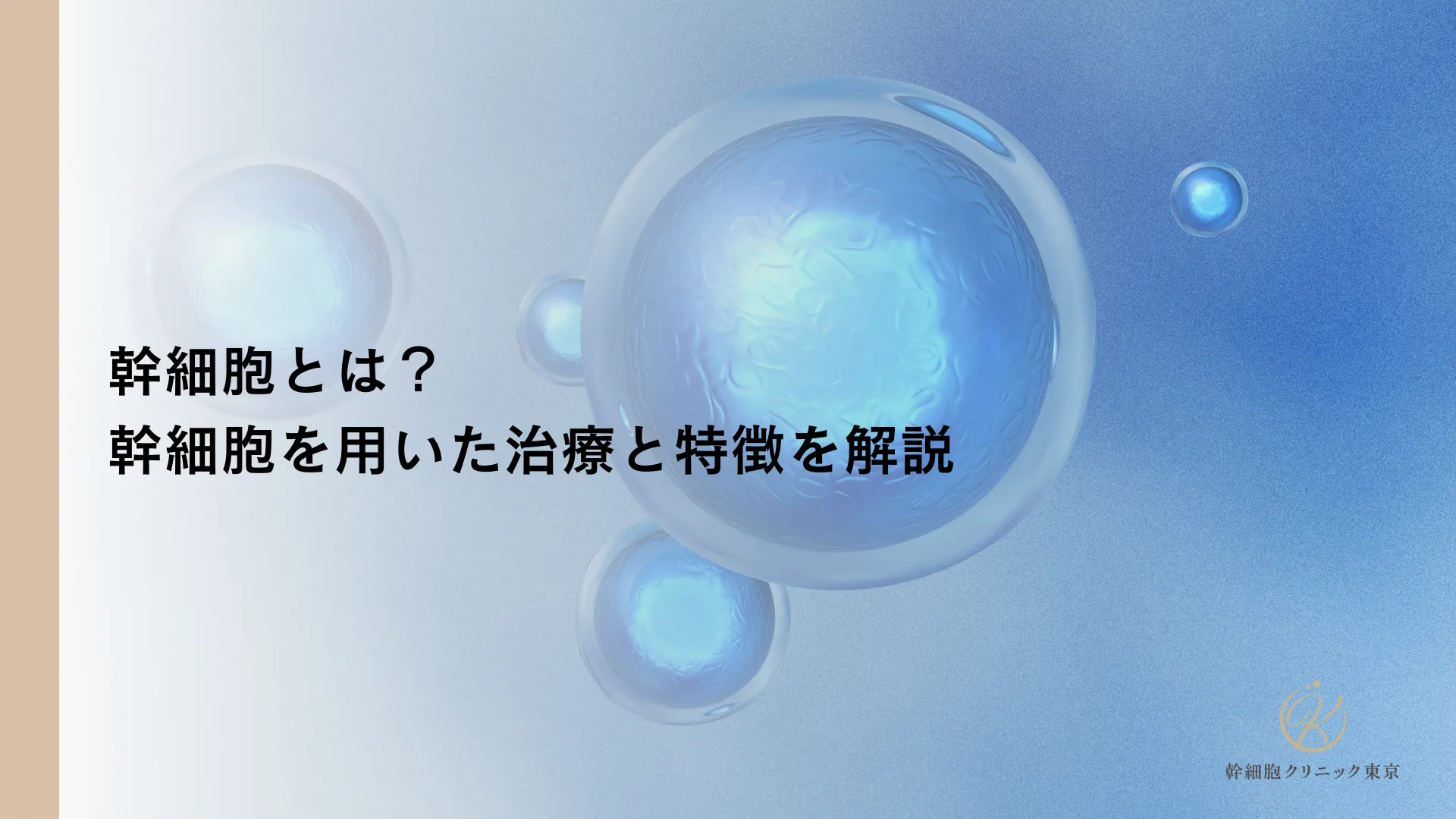 幹細胞とは？幹細胞を用いた治療と特徴を解説