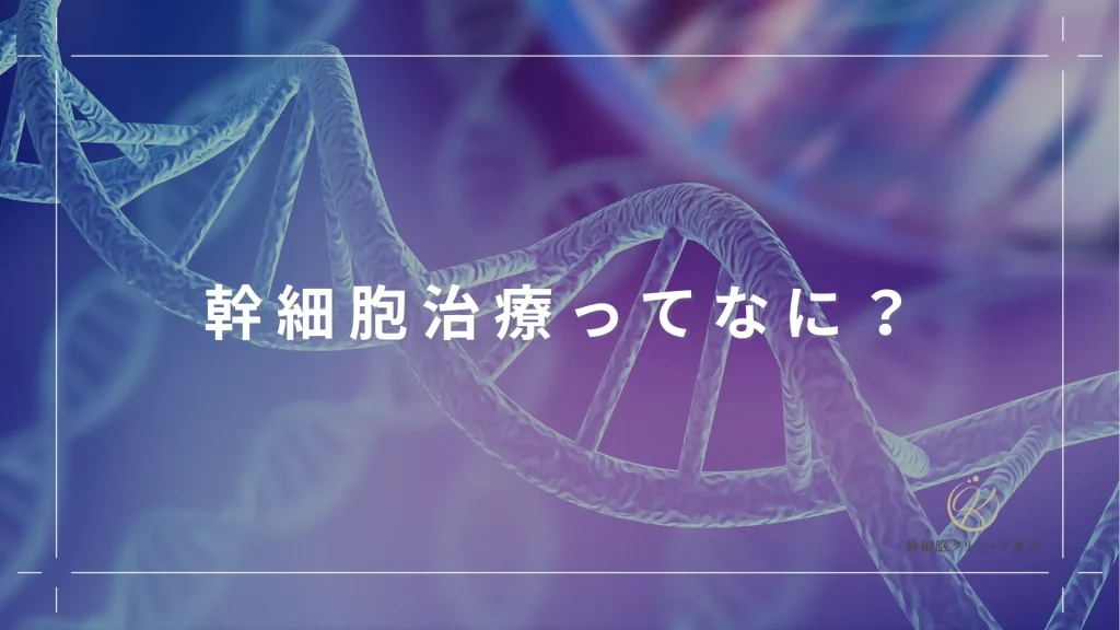 幹細胞治療ってなに？