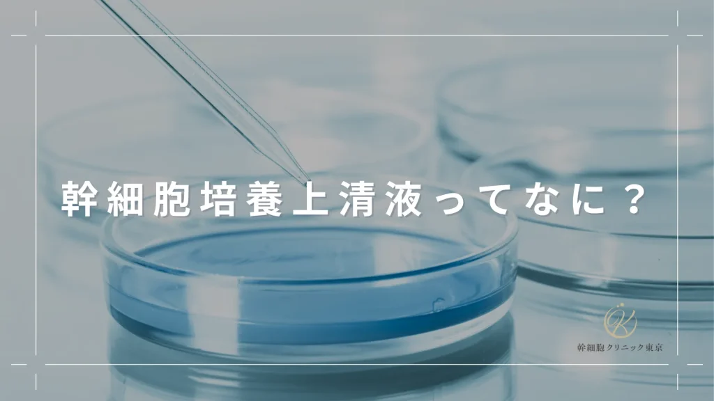 幹細胞培養上清液ってなに？