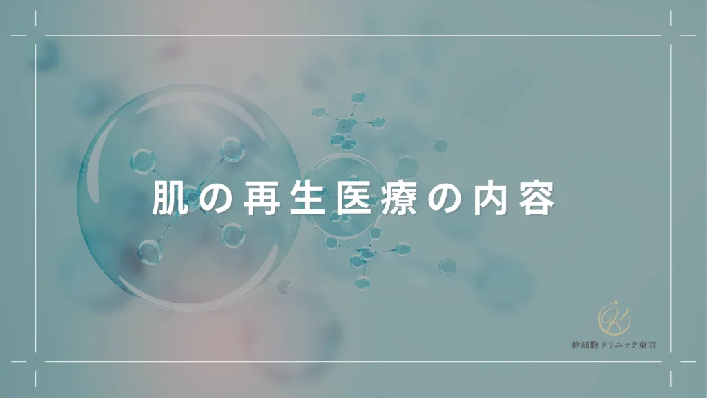 肌の再生医療の内容