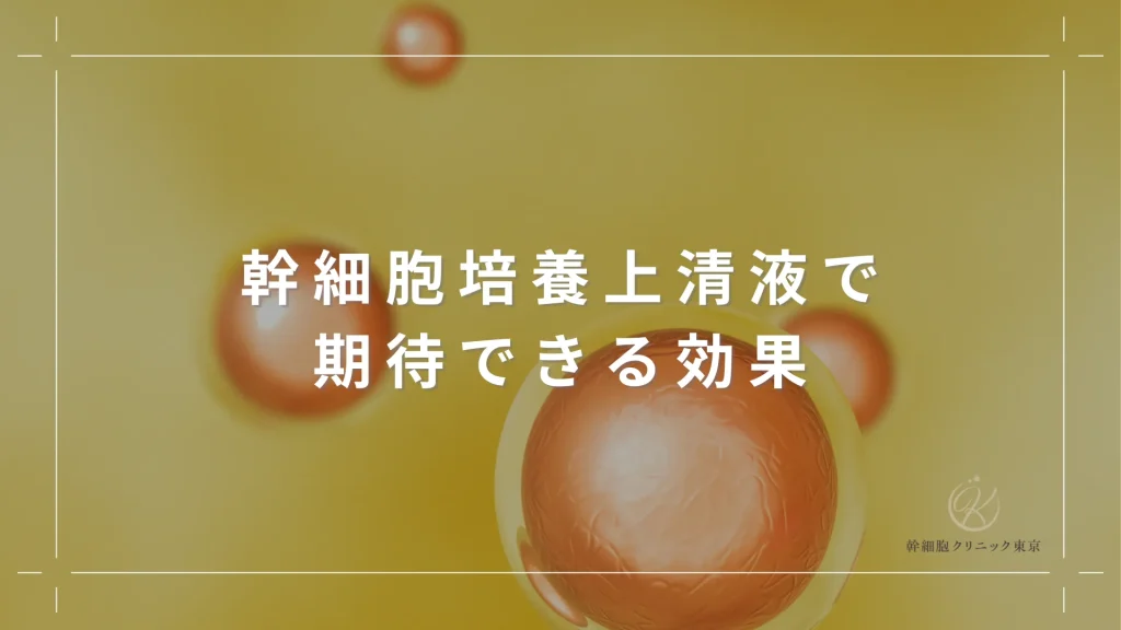 幹細胞培養上清液で期待できる効果