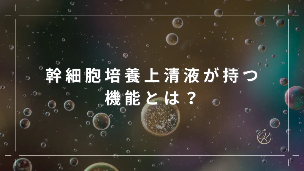 幹細胞培養上清液が持つ機能とは？