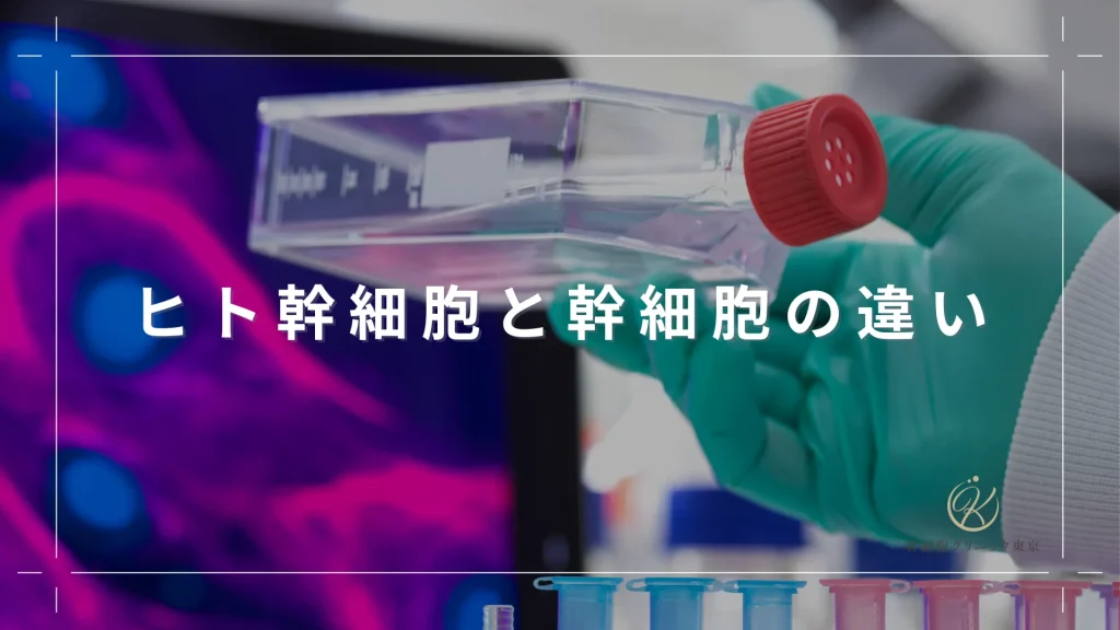 ヒト幹細胞と幹細胞の違い