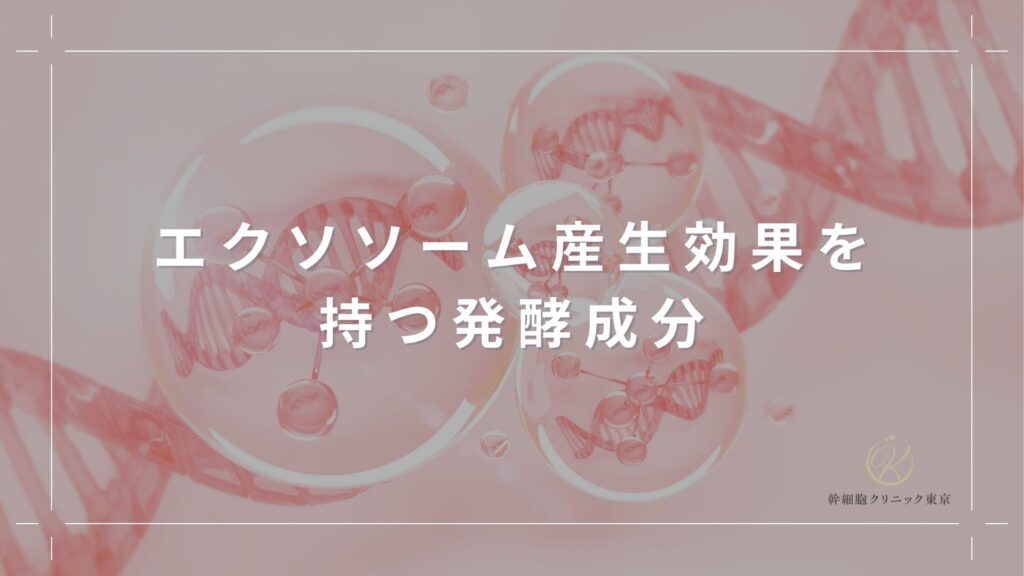 エクソソーム産生効果を持つ発酵成分