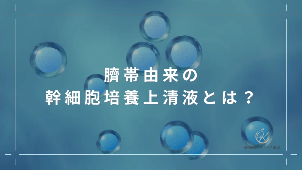 臍帯由来の幹細胞培養上清液とは？