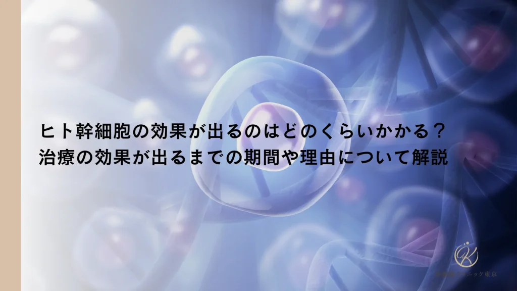 ヒト幹細胞の効果が出るのはどのくらいかかる？治療の効果が出るまでの期間や理由について解説