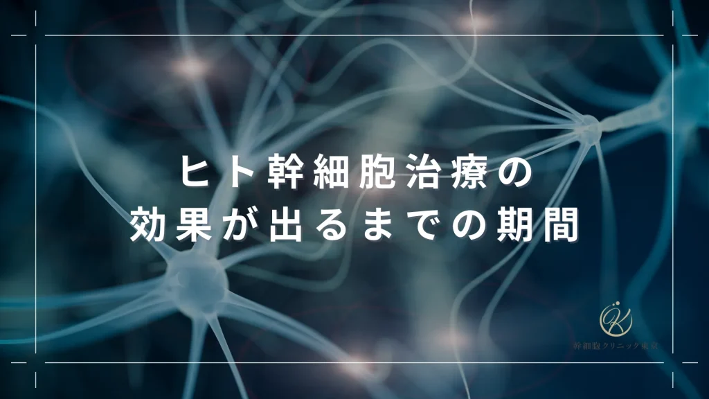ヒト幹細胞治療の効果が出るまでの期間