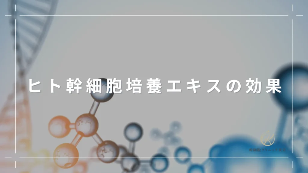 ヒト幹細胞培養エキスの効果