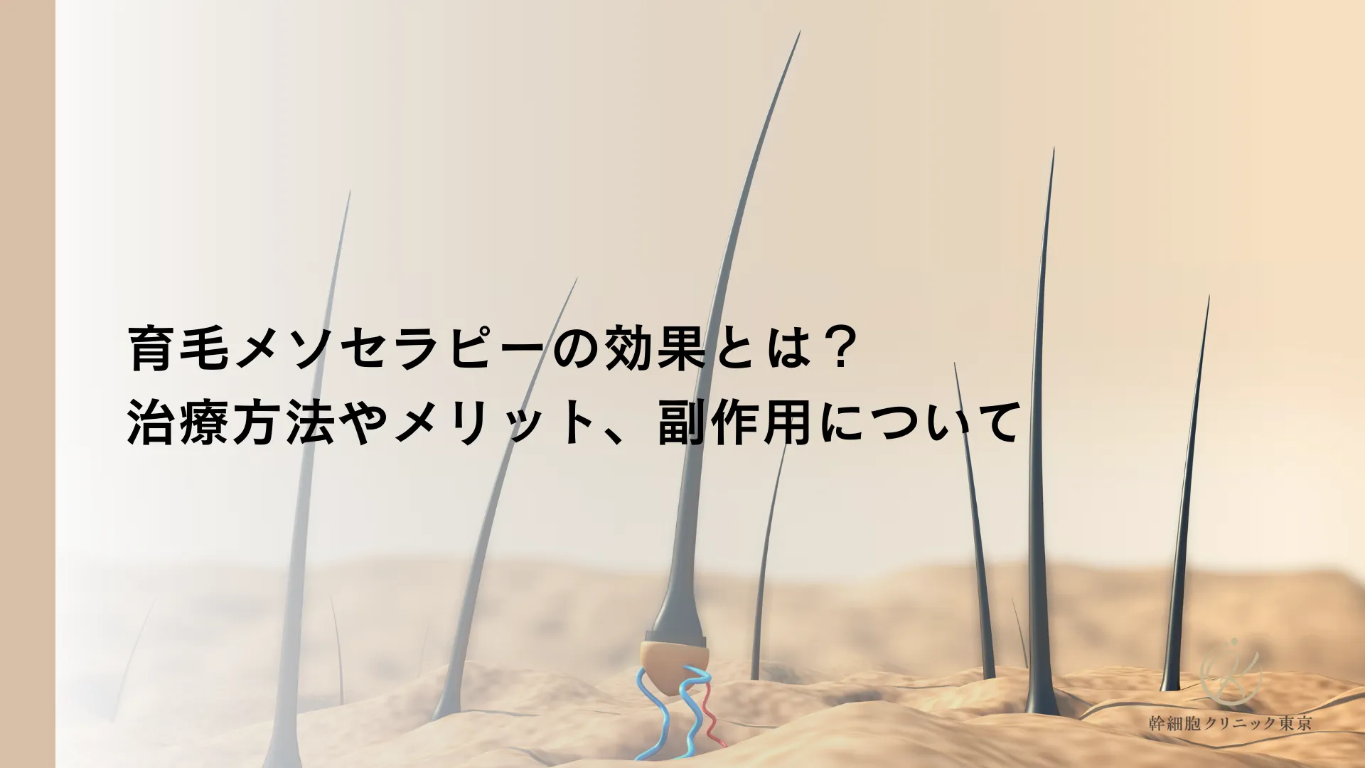 育毛メソセラピーの効果とは？治療方法やメリット、副作用について